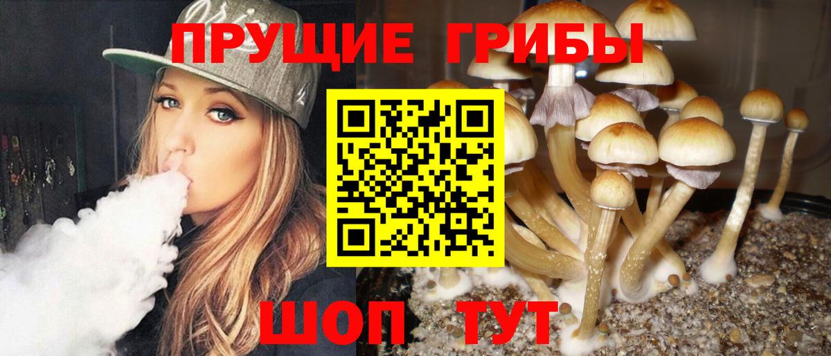 Псилоцибиновые грибы Psilocybine cubensis  Вход с VPN  Галлюциногенные грибы Magic Shrooms  Топки 